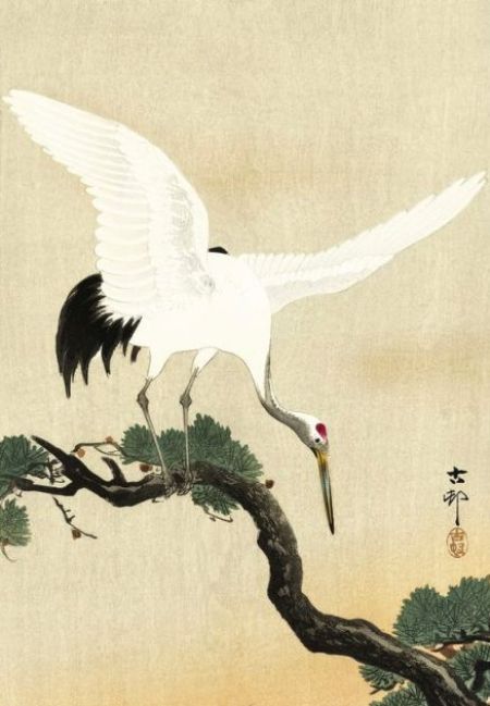 Japanese crane bird on branch of pine. Painting by Ohara Koson (fragment).