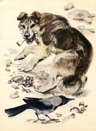Майк Йогансен, Собака і ворони, оповідання з ілюстраціями, читати та завантажити