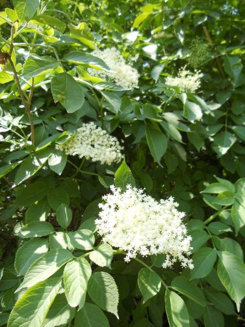 Географічні загадки про україну