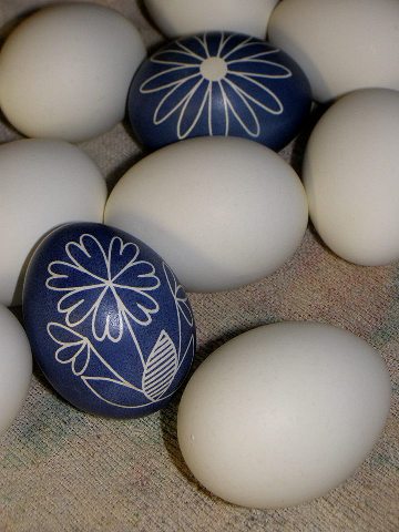 Писанкарка Ірина Михалевич. Мінімальний набір барвників для фарбування варених яєць. Ягоди шовковиці, чорниці, бузини, квіти ромашки та безсмертника, стружка цезальпінії, цибулиння, березові сережки
