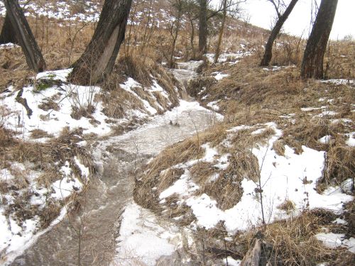 Ірина Михалевич. Школа писанкарства Ряст. Де могли брати непочату воду? Потічок талого снігу на дні байраку. Байрак здалеку.