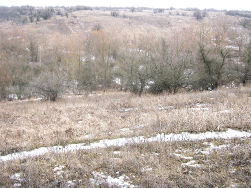 Ірина Михалевич. Школа писанкарства Ряст. Де могли брати непочату воду? Потічок талого снігу на дні байраку. Байрак здалеку.