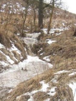 Ірина Михалевич. Школа писанкарства Ряст. Де могли брати непочату воду? Потічок талого снігу на дні байраку. Байрак здалеку.