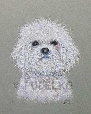 Художник Майкл Пуделко. Художник Майкл Пуделко.