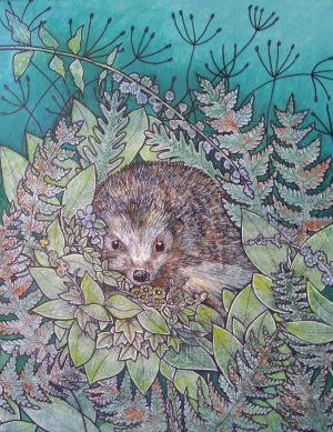 Hedgehog. Painting by Sally Ann Brackett. 