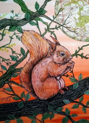 Squirrel. Painting by Sally Ann Brackett. 