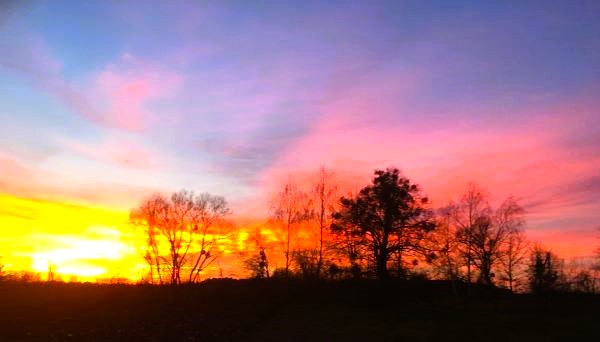 Sunset in Ukraine. Photo by Olena Yeremenko.