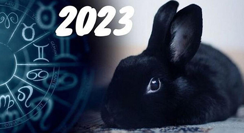 За східним календарем 2023 – рік Чорного Водяного Кролика (Кота): чого очікувати від цього символу року?