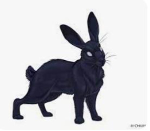 За східним календарем 2023 – рік Чорного Водяного Кролика (Кота): чого очікувати від цього символу року?