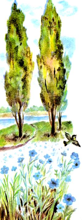 Анатолій Камінчук, Веселе полювання, ілюстрована збірка, вірш Синій льон