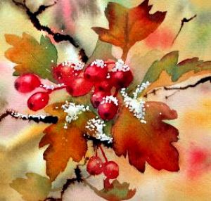 Autumn Hawthorn berries with Centre of England Arts
