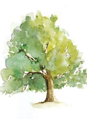  Sara Coleridge. Trees. Poem. Переспів Галини Мирослави. Дерева.