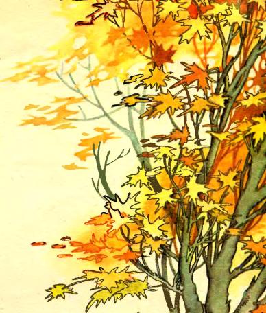 Ганна Черінь, вірші про осінь, малюнок Зенич Олени