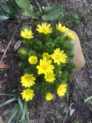 Photo by Olena Yeremenko.