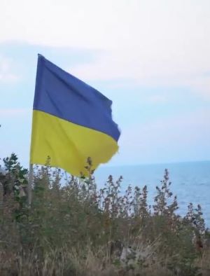 Snake Island  is a symbol of Ukrainian resistance — BBC News.