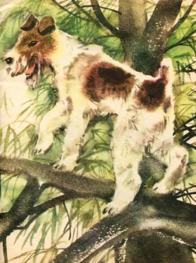 Майк Йогансен, Собака що лазив на дерево, ілюстроване оповідання, читати та завантажити