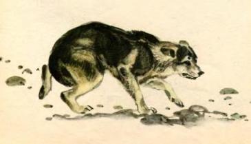 Майк Йогансен, Собака і ворони, оповідання з ілюстраціями, читати та завантажити