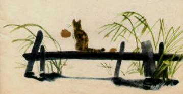 Кіт Чудило, ілюстроване оповідання Майка Йогансена, читати та завантажити