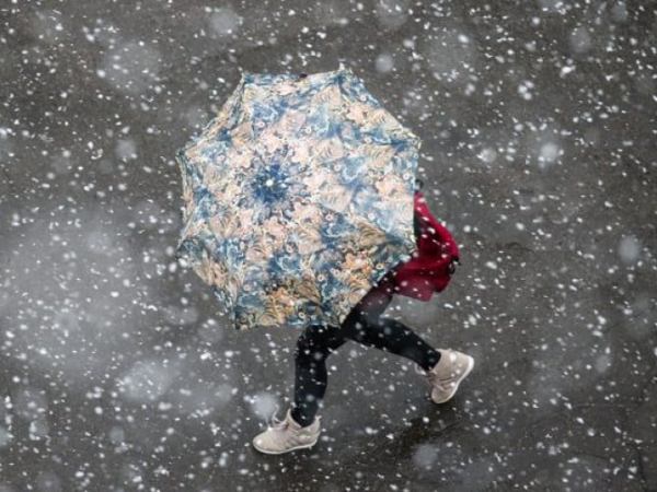 Наталя Карпенко. Дитячі вірші про зиму. Чи то дощ, чи то сніг. 