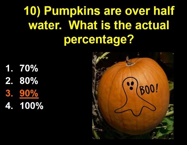 90% гарбуза складає вода.