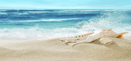 Сергій Губерначук. Природа навколо нас.  Моє ти море. 