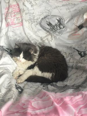 Photo by Olena Yeremenko.