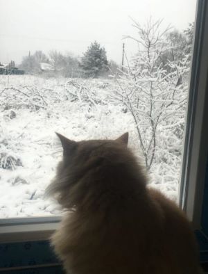 Photo by Olena Yeremenko.