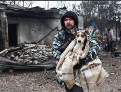 Окупанти атакували собачий притулок у Запоріжжі.