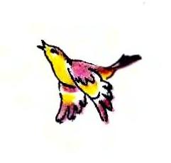 Дитячі вірші про птахів, Пташина школа від Василя Вітки, ілюстрована збірка віршів про птахів