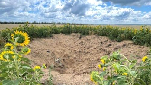 A shell crater in a sunflower field near Slovyansk — BBC News