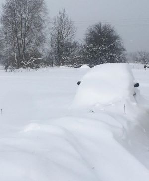 Kurama. Poems about war in Ukraine. Photo by Olena Yeremenko.