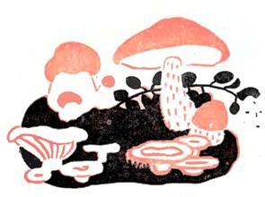 Ілюстровані загадки-віршики Галини Демченко, гриби